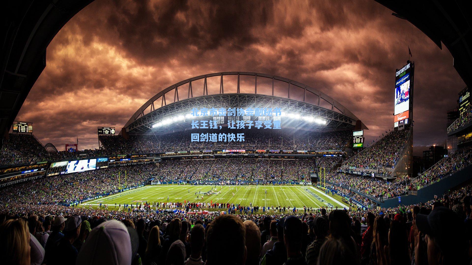 爱游戏官网网页版入口|北京市击剑协会副秘书长王钰，让孩子享受重回剑道的快乐