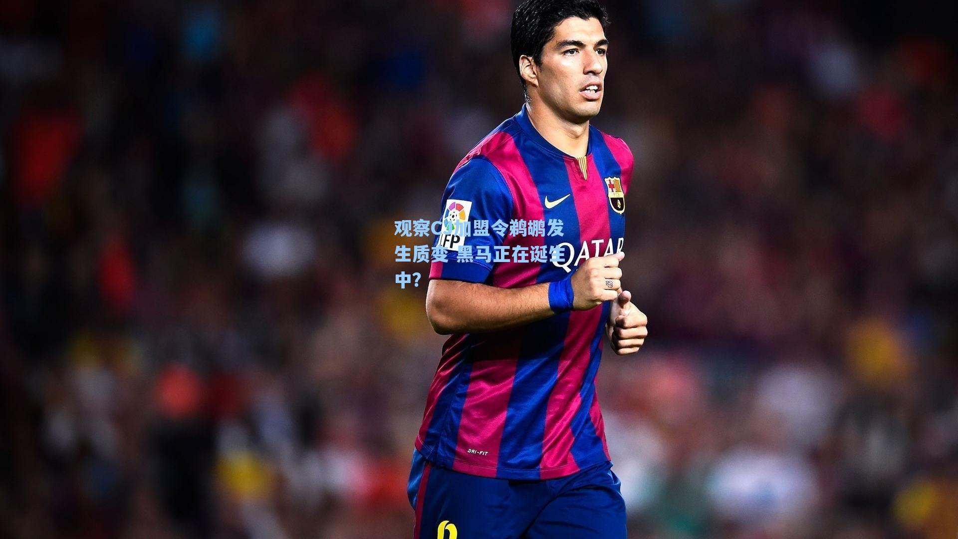 观察CJ加盟令鹈鹕发生质变 黑马正在诞生中?