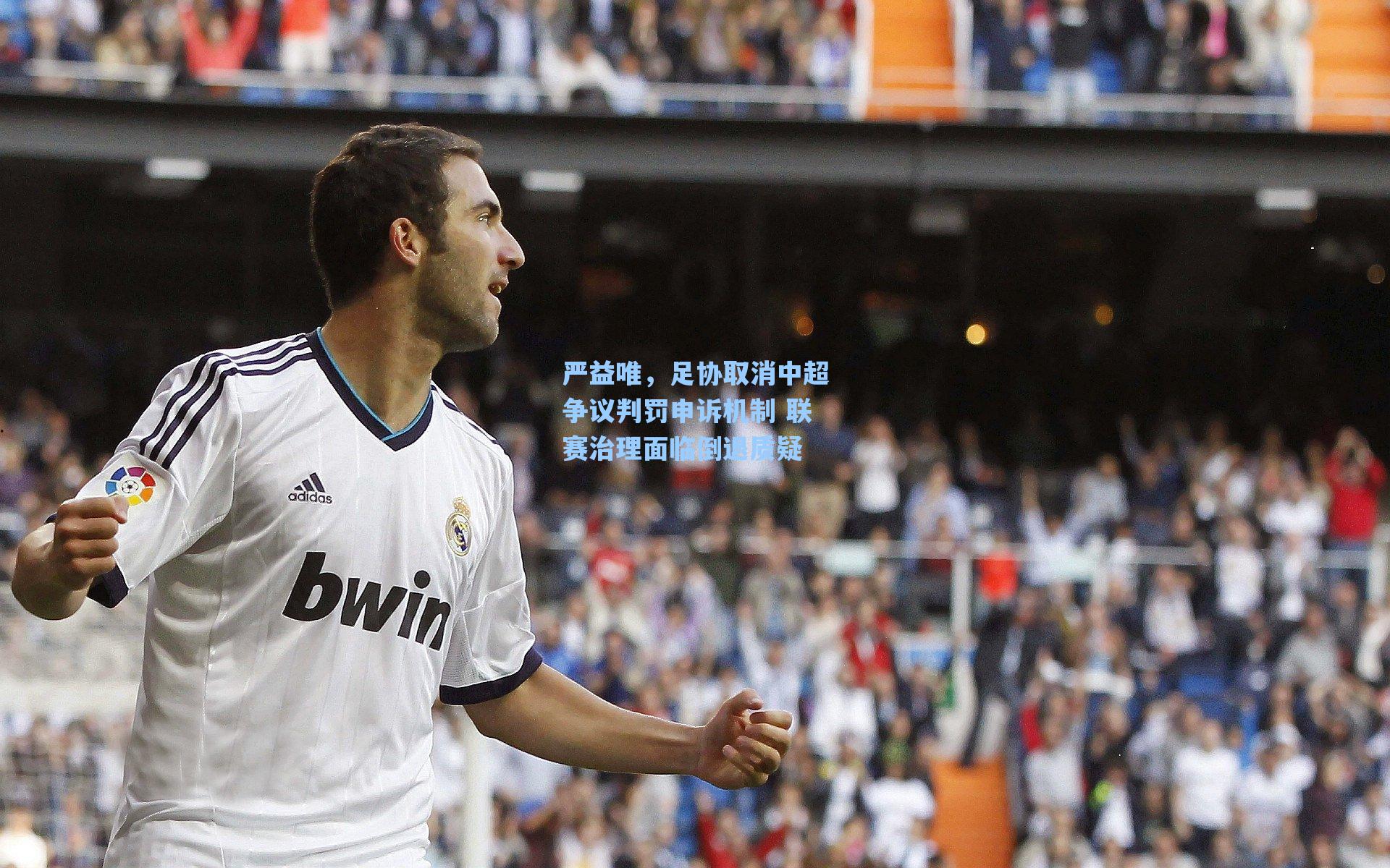 严益唯，足协取消中超争议判罚申诉机制 联赛治理面临倒退质疑